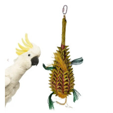Back Zoo Nature Pineapple